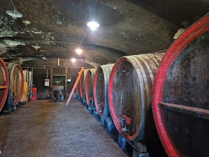 Domaine De Bergiron, Laplace Jean-Luc, Vignoble à Saint-Lager