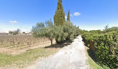 Cavaillé Roland, Vignoble à Villeneuve-lès-Béziers