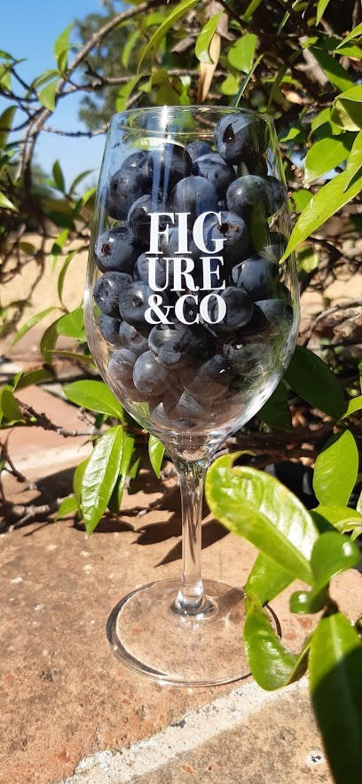 Figure&Co, Vignoble à Saint-Pargoire