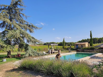 Domaine du Coffre, Vignoble à Pertuis