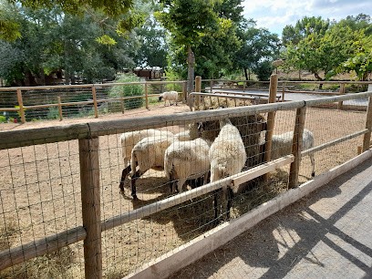 Domaine Cammaous Et Caussarelle, Vignoble à Vacquières