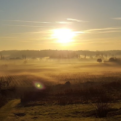 Château de Bernon, Vignoble à Puisseguin