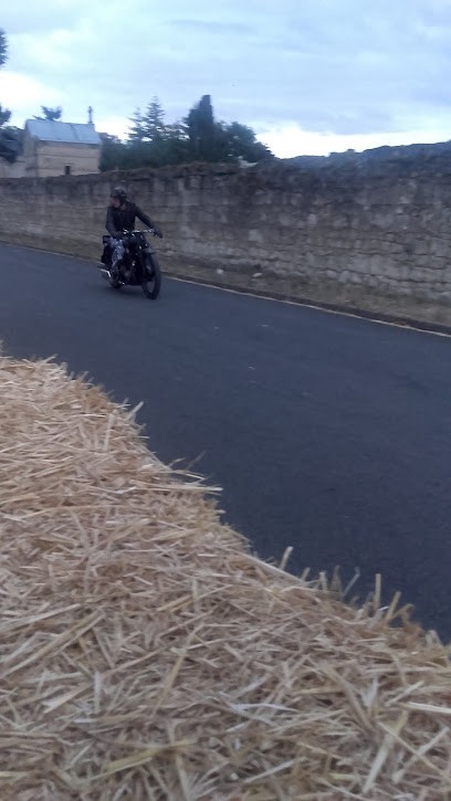 CHÂTEAU TOUR GRISE, Vignoble au Puy-Notre-Dame