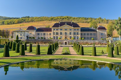 Château de La Chaize, Vignoble à Odenas
