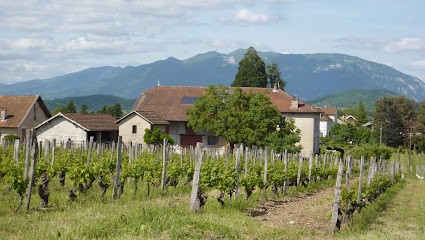 Gaec Maison Fusillet, Vignoble à Belley