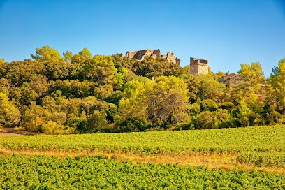 Caves Celliers Du Val Des Pins, Vignoble à Montaud