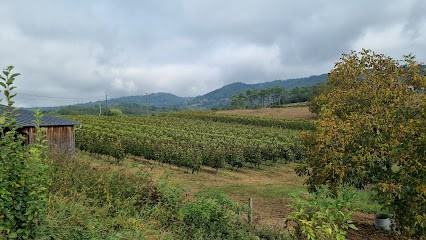 Domaine de la Gardelle, Vignoble à Saint-Julien-Maumont