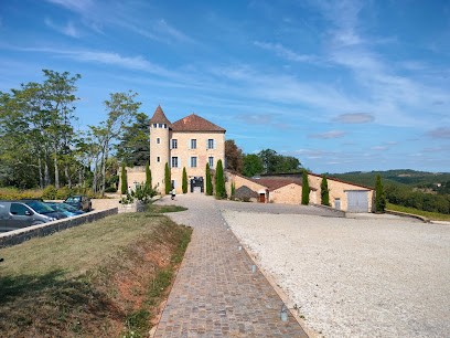 Castle of Chambert, Vignoble à Floressas