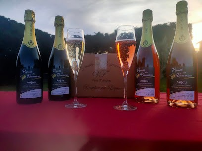 Vignoble des Rouannieres, Vignoble à Beaulieu-sur-Layon