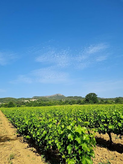 Cave Coopérative Des Vignerons De Tornac, Vignoble à Tornac