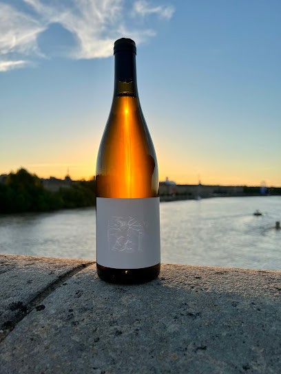 Arthur Fèvre, Vignoble à Orthez