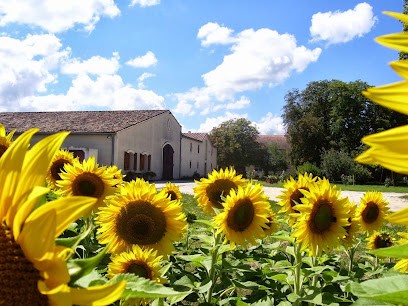 Château Des Granges d'Or, Vignoble à Bégadan