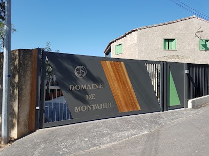 Domaine De Montahuc, Vignoble à Saint-Jean-de-Minervois