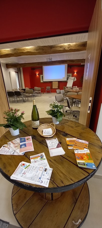 Musculus Claude, Vignoble à Scharrachbergheim-Irmstett