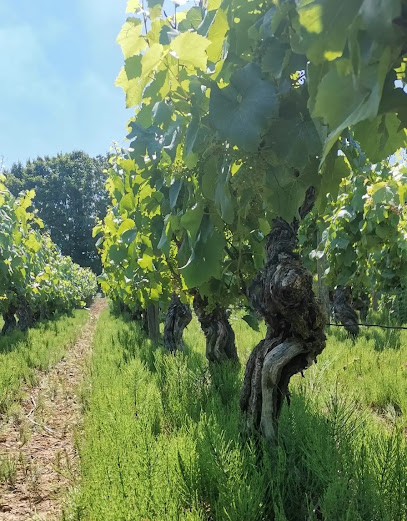 Domaine Gauthier Rémaque Vignoble à Hurigny