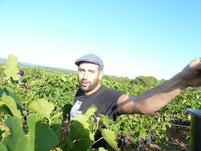 Domaine David Rey, Vignoble à Souvignargues