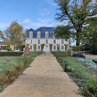 Château Guiraud, Vignoble à Sauternes