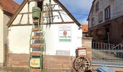 Domaine Barthel, Vignoble à Scharrachbergheim-Irmstett