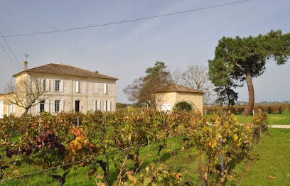 Château Pillebois, Vignoble à Saint-Magne-de-Castillon