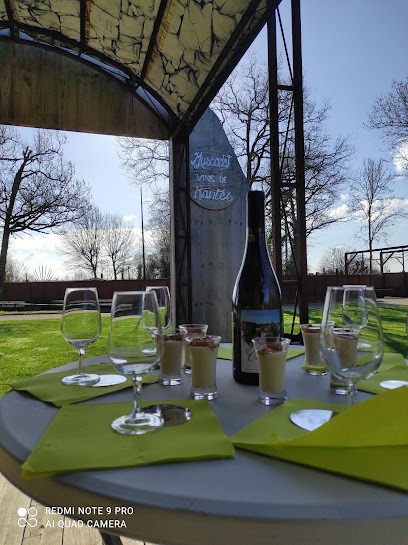 DOMAINE DU GRAND AIR, Vignoble à Clisson