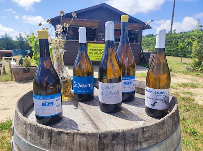 La Cabane Au Muscadet, Vignoble à Saint-Coulomb