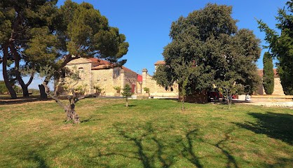 Domaine du Parc Saint Charles, Vignoble à Montfrin