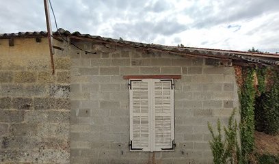 Château Les Graves, Vignoble à Saint-Vivien-de-Blaye