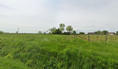 Bande De Vignerons !, Vignoble à Saint-Hilaire-du-Bois