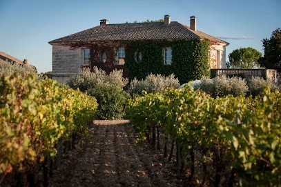 Château Puech-Haut, Vignoble à Saint-Drézéry
