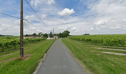 Earl Du Chatelet, Vignoble à Verrières