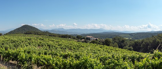 Domaine De Mourchon, Vignoble à Séguret
