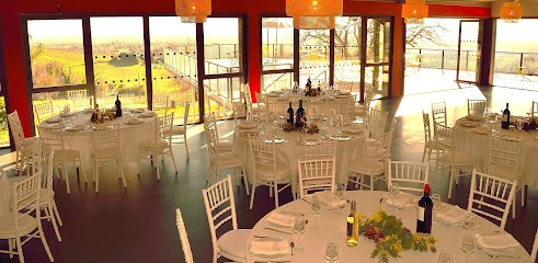 Château Réaut Tourism & Event, Vignoble à Rions