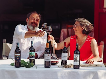 Château Tour Haut Caussan, Vignoble à Bégadan