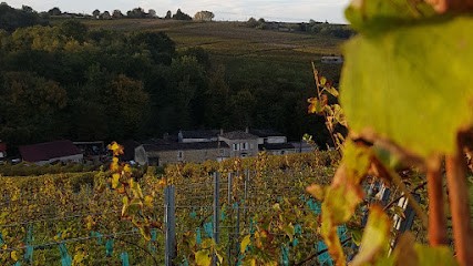 Domaine du Chay - SCEA Tourré Delmas, Vignoble à Loupiac