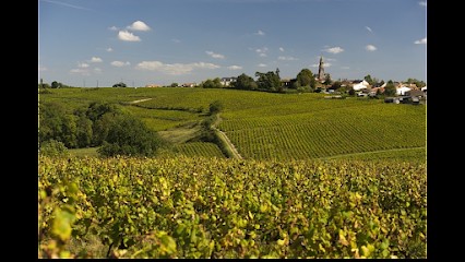 VIGNOBLE JEAN-FRANCOIS POIRON, Vignoble à Saint-Fiacre-sur-Maine