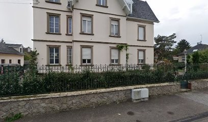 Édouard Faller, Vignoble à Sélestat