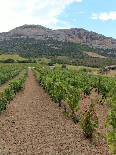 Domaine Brizi Vignoble à Poggio-d'Oletta