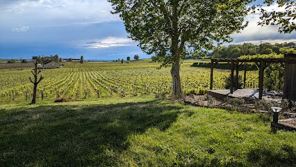 Château Petit Mangot, Vignoble à Saint-Étienne-de-Lisse