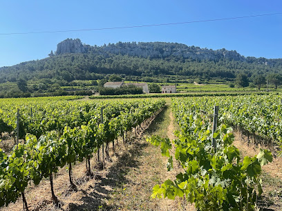 Domaine De Fontvieille Vignoble à Roquefort-la-Bédoule