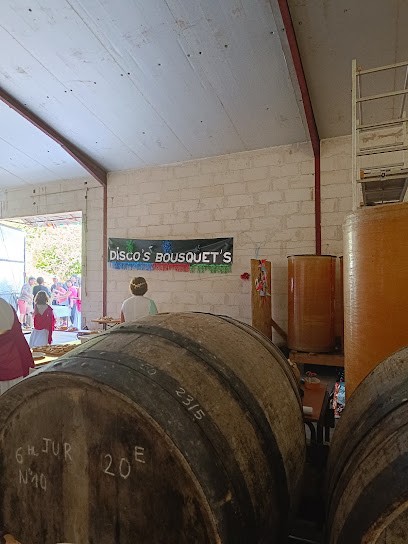 Domaine Bousquet, Vignoble à Saint-Faust