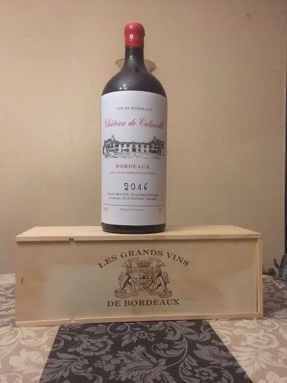 Château De Calmeilh, Vignoble à Pugnac