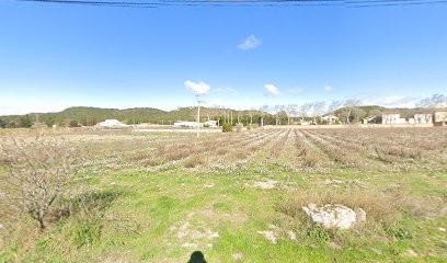 Panis Louis, Vignoble à Conilhac-Corbières