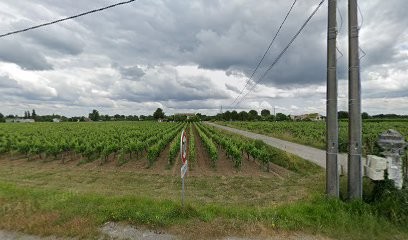 Château Roc Plantier, Vignoble à Prignac-et-Marcamps