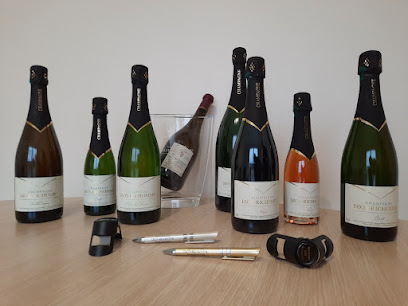 Champagne Diot-Richomme Vignoble à Queudes
