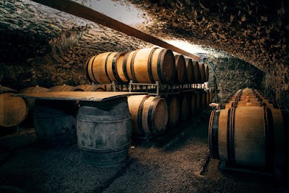 Boissonnet Frédéric, Vignoble à Serrières