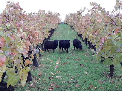 Domaine Huvelin, Vignoble à Sabran