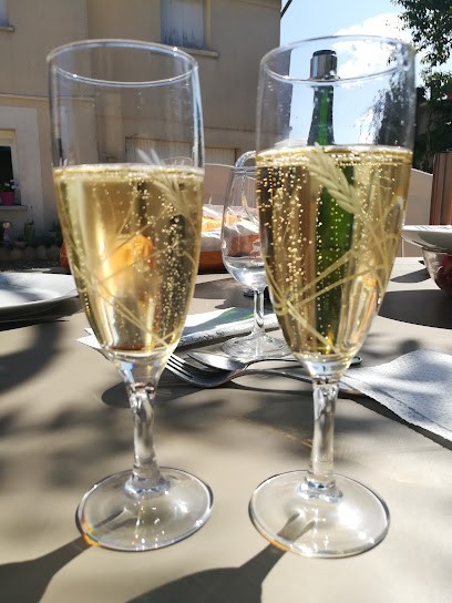 Domaine Jaclin, Vignoble à Selles-sur-Cher