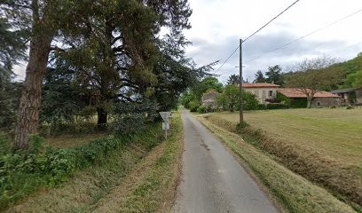 Morillon Paul-Marie, Vignoble à Pujols