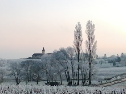 Domaine De La Verpaille, Vignoble à Viré