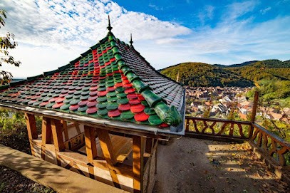 Schnebelen Eugène, Vignoble à Thann